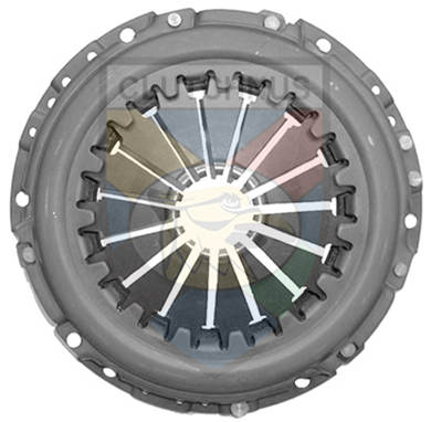 SEFC11