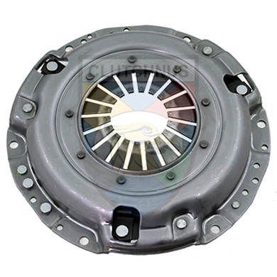 SMPG16