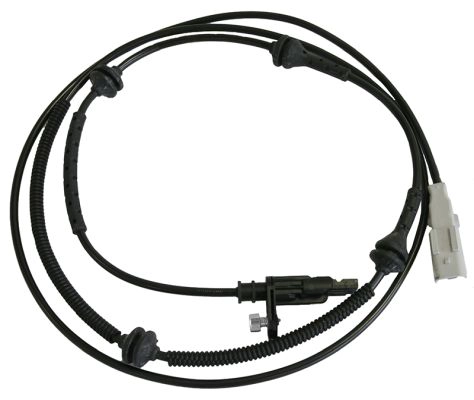 BSW1117