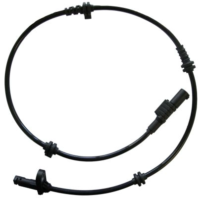 BSW1101