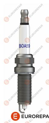 B2401-CK81B-RV