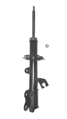9250939