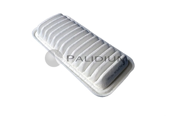 PAL2-2007