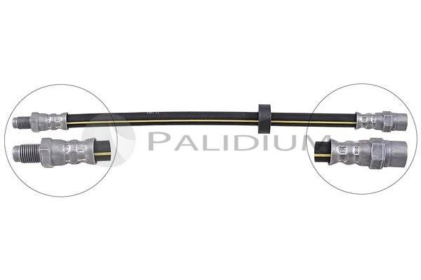 PAL3-0077