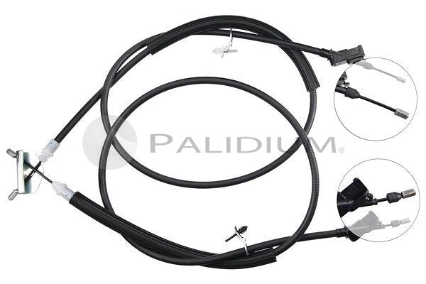 PAL3-1010
