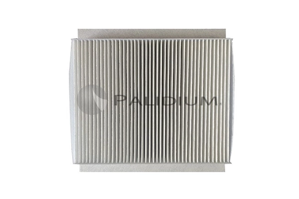 PAL2-4031