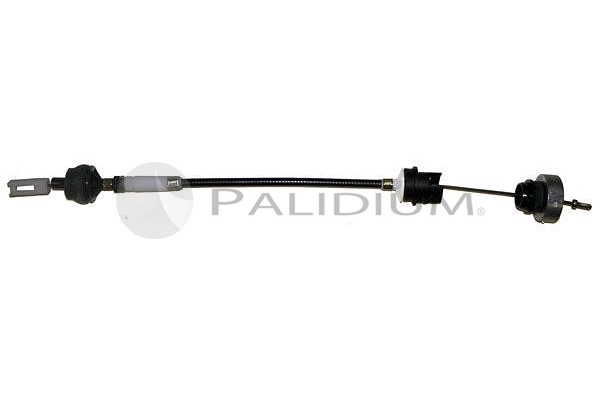 PAL3-1745