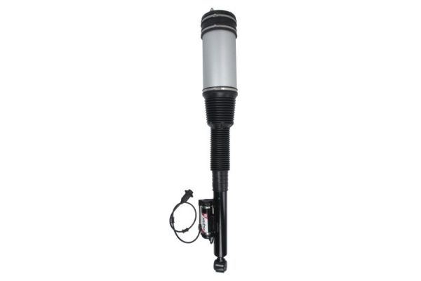APM010MT