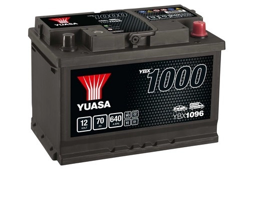 YBX1096