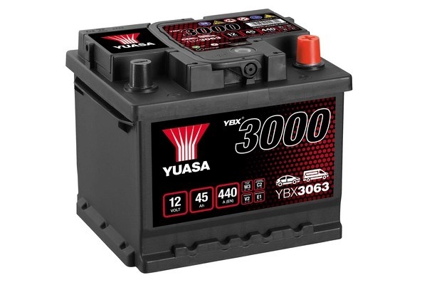 YBX3063