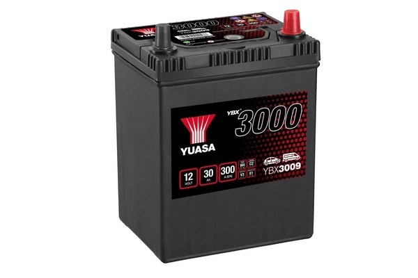 YBX3009