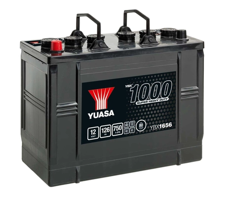 YBX1656