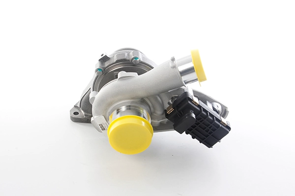 BSG 25-100-007