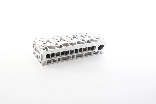 BSG 25-110-008