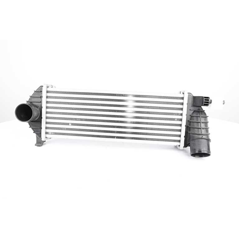 BSG 75-535-008