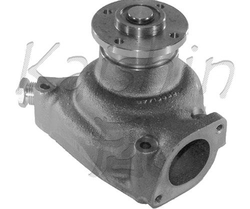 WPK217
