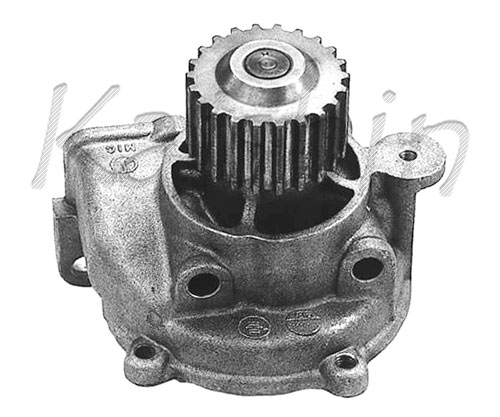 WPK167