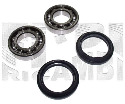 RK2201