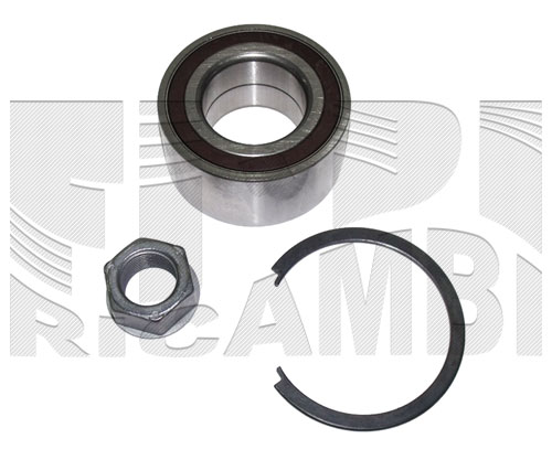 RK4002
