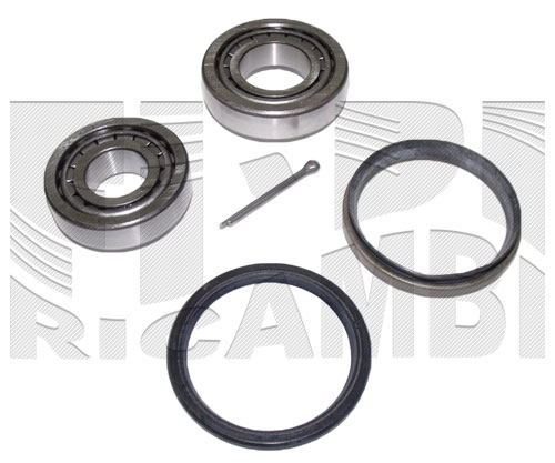 RK3021