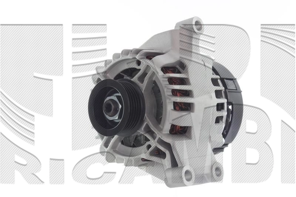 AMM172