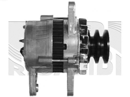 ANK606