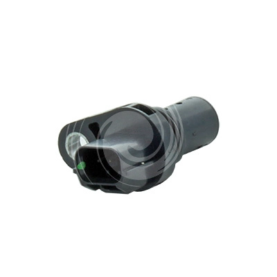 L33519