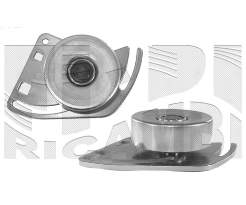 A0A204