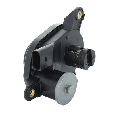 L8081