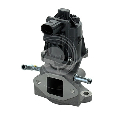 L31800