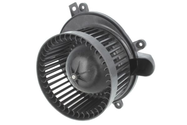 DD3001TT