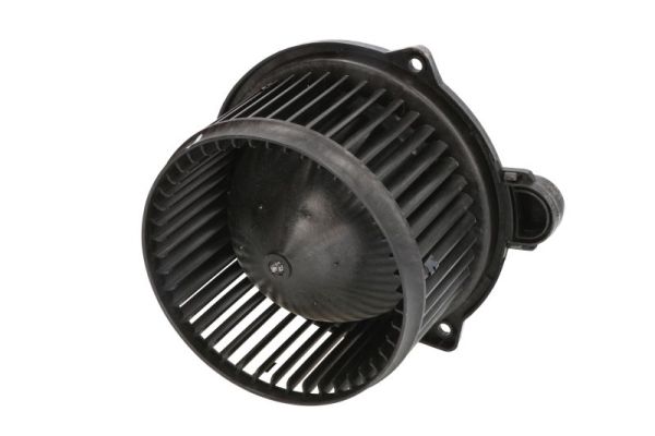 DD0303TT