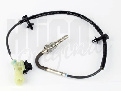 137037