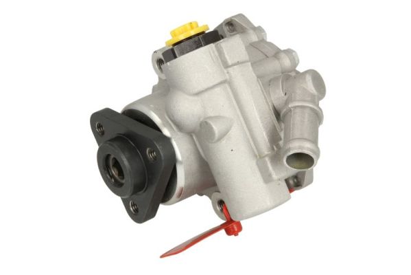 55954