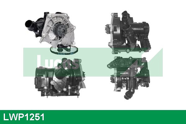 LWP1251