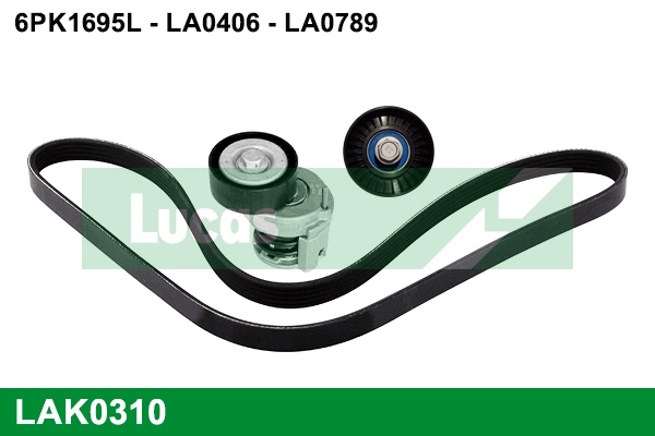 LAK0310