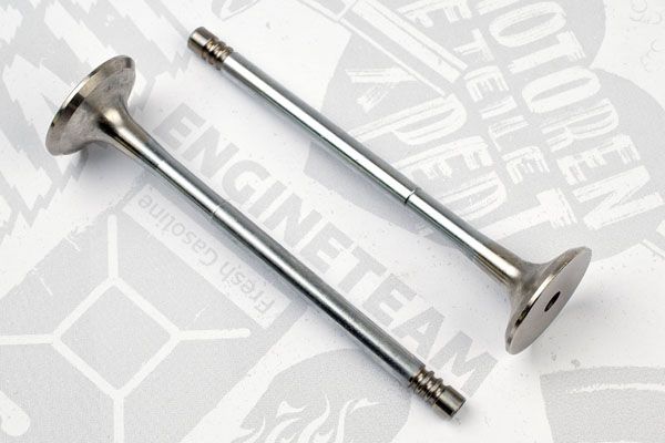 VE0089