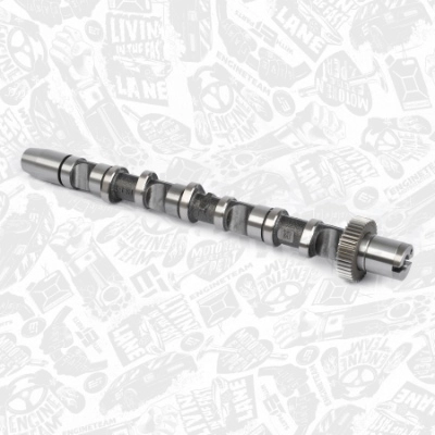 HV0303
