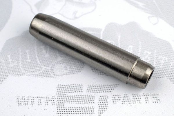 VG0004