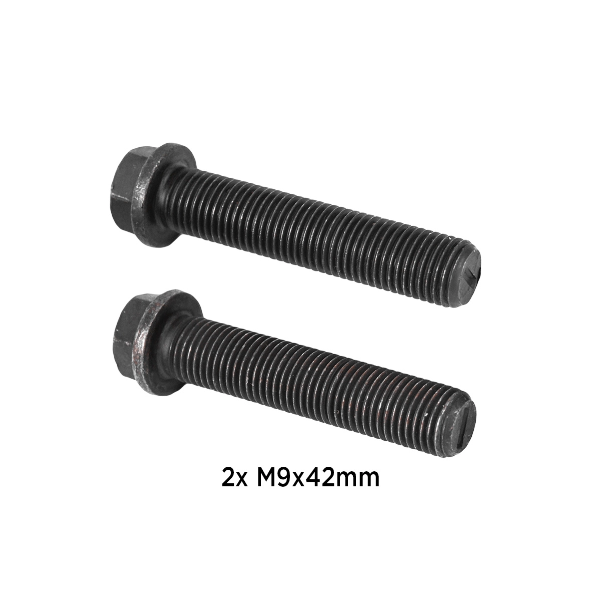 BS0029
