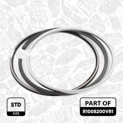 R1008200VR1
