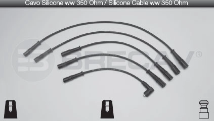 06.561