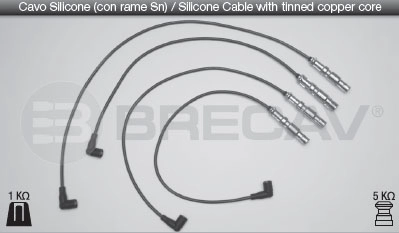 30905409B