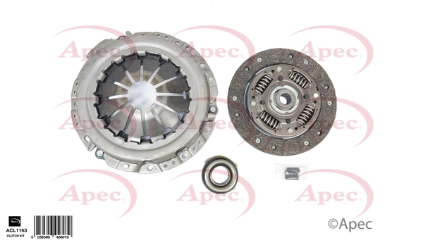 ACL1163