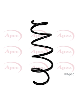 ACS2101