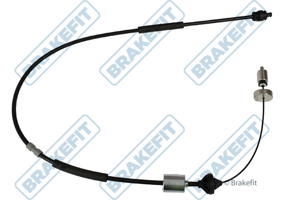 BCC6009
