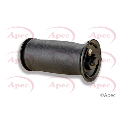 AAS1005