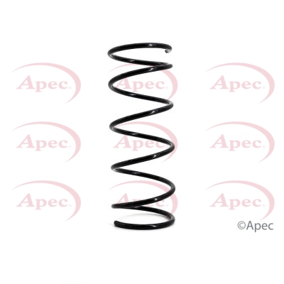 ACS1002