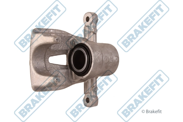BCA1181