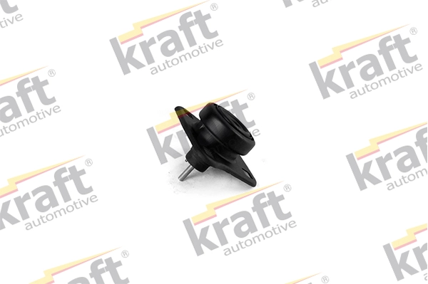 96FB 6038 BK